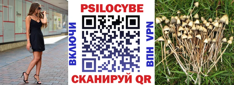 Галлюциногенные грибы мицелий  закладки  omg вход  Чапаевск 